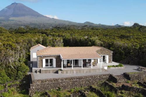Madalena Villa | Experience Pérola do Pico: Family-Friendly Getaway