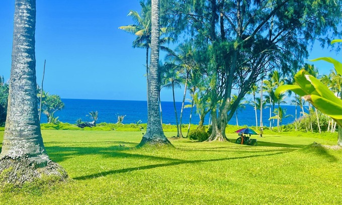 Kapoho Apartment | Explore Pāhoa Kai Hale’u’uku: Rated 9.6, Family-Friendly Stay