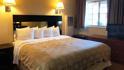 Cow Hollow Hotel | Pacific Heights Inn: Comfortable Stay with Family-Friendly Amenities