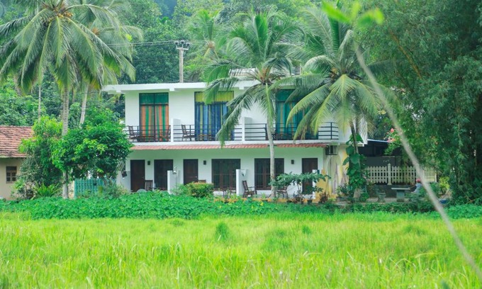 Mirissa Resort | Budget-Friendly Paddy Field View Resort with Breakfast Included