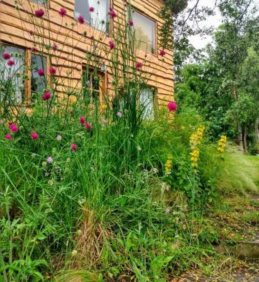 La Villa House | Experience Nature at Paisaje Nativo - Pet & Child Friendly