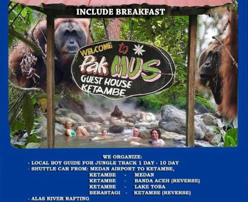 Gayo Lues House | Pak Mus Guest House Ketambe - 0813-7072-1793