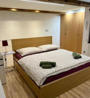 Brno-stred Apartment | Palac Anežka D1