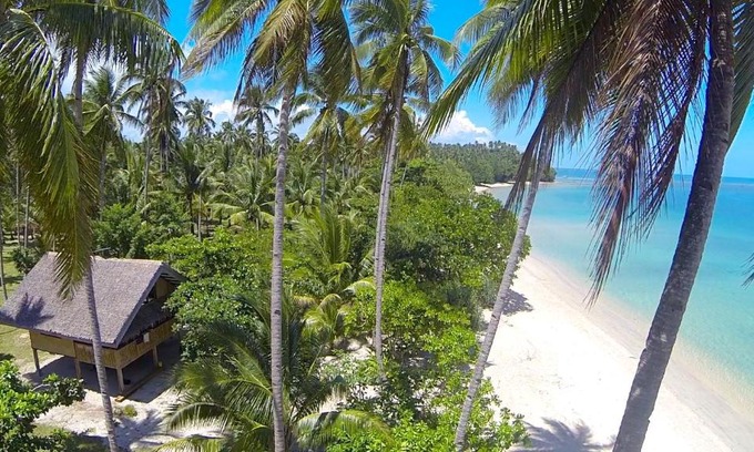 Rizal House | Eco-Friendly Retreat at Palawan Ecolodge - 4-Star Rating!