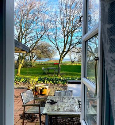 Struer Municipality Bed & Breakfast | Discover Pallisgaard B&B: Pet-Friendly & Family Oriented