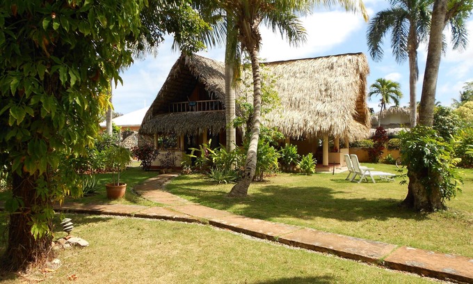 Las Galeras House | Tropical Oasis: Palm-Covered House with Oceanfront Views