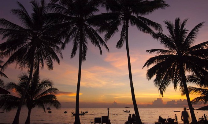 Koh Tao Resort | Cozy Stay at Palm Leaf Resort with Ocean View Dining