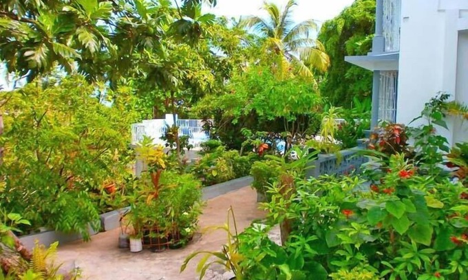 Montego Bay Hotel | Relaxing Retreat at Palm View Guesthouse & Conference Centre