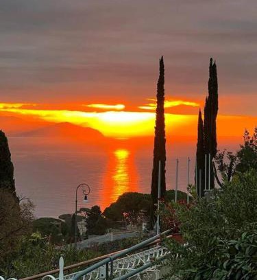 Rapallo Apartment | Pet-Friendly Palma Residence San Michele with Ocean Views