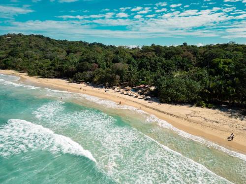 Isla Bastimentos Cabin | Relax at Palmar Beach Lodge with Ocean Views & Private Beach