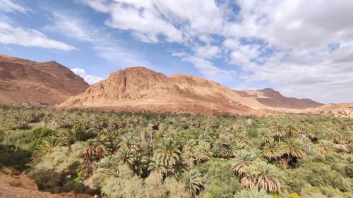 Toudgha El Oulia House | Discover Palmeraie Guest House: Top-Rated Family Retreat