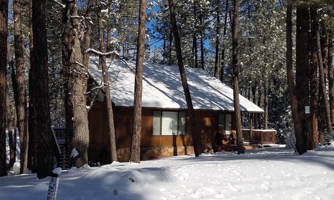Pine Cabin | Experience Palms to Pines Cabin - Rated 10/10 for Comfort