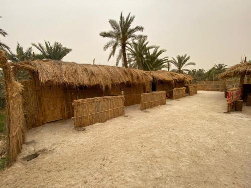 Siwa Other | Budget-Friendly Paloma Camp: Ideal for Families and Pets