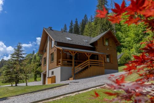 Joseni House | Experience Comfort at Paltán Vendégház - Pet Friendly Stay