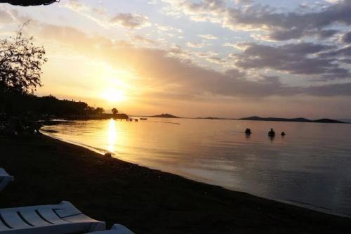 Ayvalik Apartment | Cozy 1+1 Apartment Near Beach with Ocean View Amenities