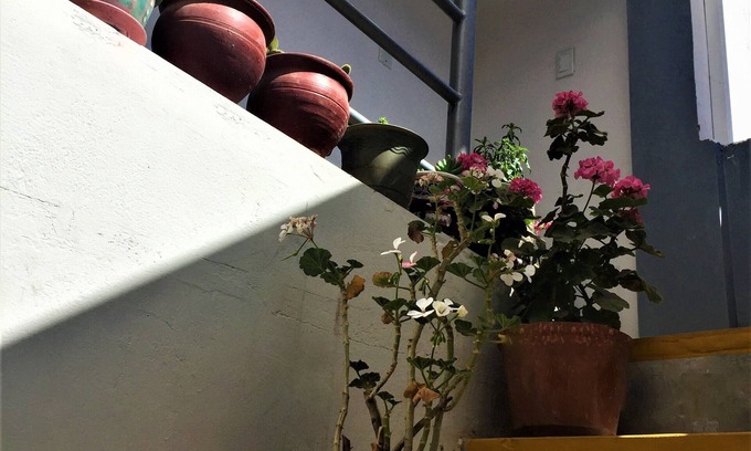 Cusco Apartment | Charming Panaqa's Flat: Family-Friendly Duplex in Cusco