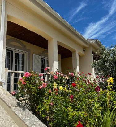 Vila Real House | Inviting Panoias Country House with Oceanfront Pool Views