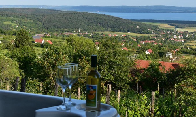 Mencshely Apartment | Experience Panoráma Borbirtok: Family-Friendly Getaway
