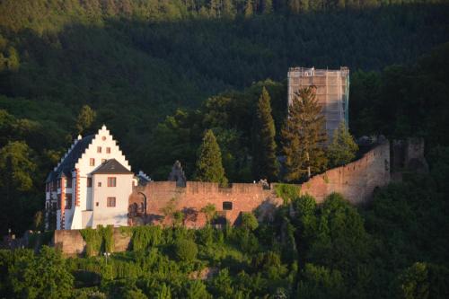 Miltenberg Apartment | Scenic Panorama-Blick Miltenberg with Terrace & Boat Rentals