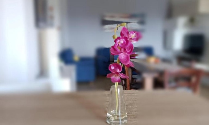 Buon Pastore-Sant'Agnese-San Damaso Apartment | Pet-Friendly Panoramapointbnb with Family Amenities & High Ratings