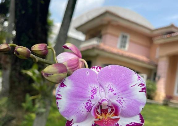 Citaringgul Villa | Serene Escape at Papandayan Flowers House Villa with Pool
