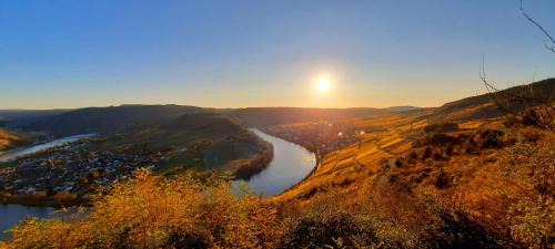 Krov Other | Top-Rated Paradies Camp: Family & Pet-Friendly Retreat