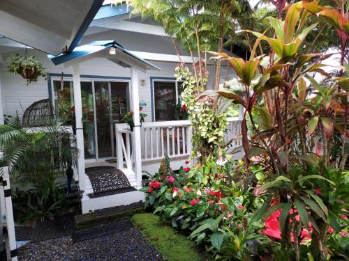 Hilo House | Oceanfront Paradise Cottage at Anthurium Hale - Rated 9.6/10