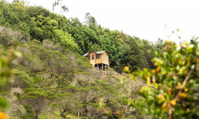 Choconta Other | Experience Paradise Glamping: Top-Rated and Pet Friendly