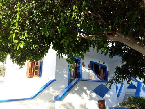 Lipsoi Apartment | Budget-Friendly Paradise Studios: Pet & Child Friendly Retreat