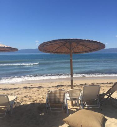 Paralia Ofryniou Apartment | Family-Friendly Beach Apartments at Paralia Ofrinio
