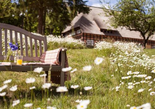 Muritz Hotel | Experience Serenity at Park am See x Nattika Ayurveda