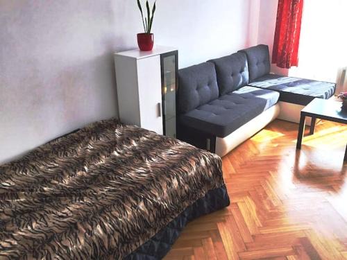 Branik House | Parkovani zdarma jeden velky pokoj s Netflix pro 2 osoby ve sdilenem soukromi se ženou