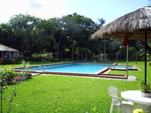 Morro Azul Hotel | Discover Parque Hotel Morro Azul: Oceanfront Oasis Awaits