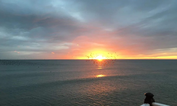Hove House | Family Holiday Retreat by the Sea with Free Parking