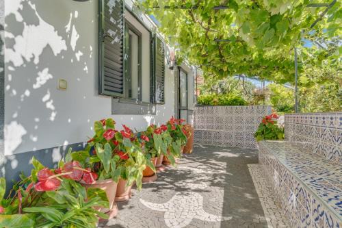 Machico Villa | Relax at Passion Villa: Family-Friendly, Oceanfront Escape