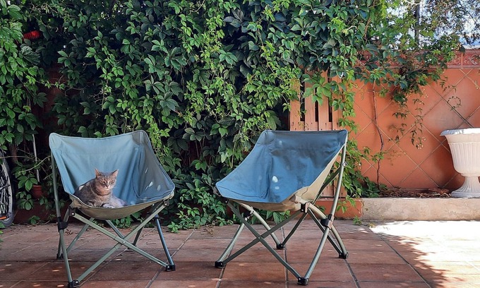 Barrio de la Vega Condo | Pet-Friendly Retreat Near Alhambra - Patio Tipique Andalous