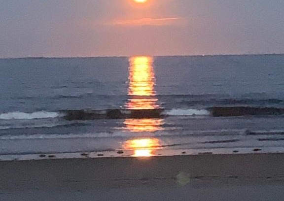 Old Orchard Beach Hotel | Discover Patras Grand Beach Motel: Oceanfront Family Retreat