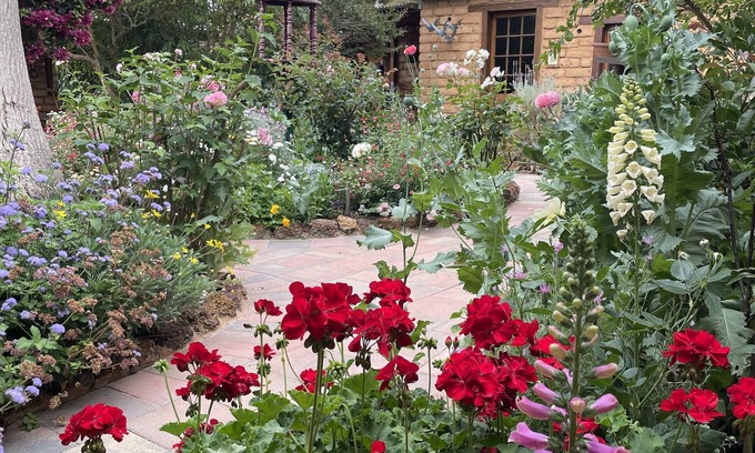 Witchcliffe Apartment | Pet-Friendly Patricia's Garden Studio Near Margaret River