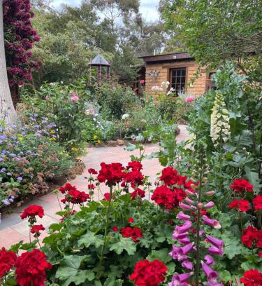 Witchcliffe Ski Chalet | Pet-Friendly Escape at Patricias Garden Studio