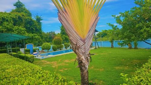 Nong Prue Villa | Pattaya Paradise Pool villa with Garden 3BR