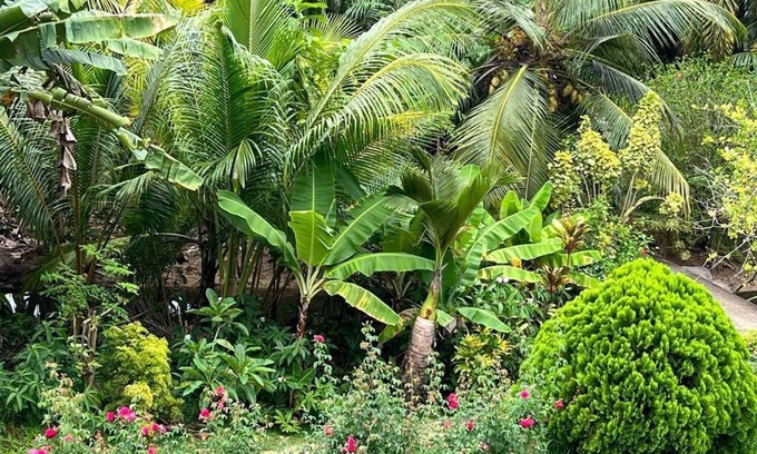 Mahe Island Apartment | Cozy Paul's Residence: Family-Friendly with Kitchen & Dining