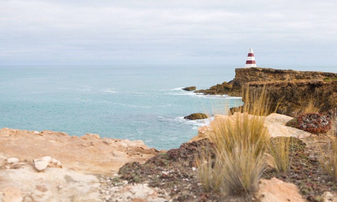 Waterhouse House | Paula's Place: Unmatched Ocean View with Spa & Breakfast