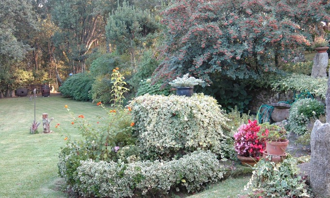 Creciente House | Discover Pazo da Fraga: Spa, Breakfast & Family-Friendly Stay