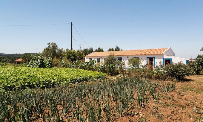 Santiago do Cacem Other | Tranquil Animal Farm with a Magical Starlit Sky