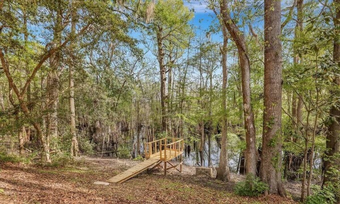 Pineland Cabin | Discover Nature at a Rustic Cabin by Ebenezer Creek