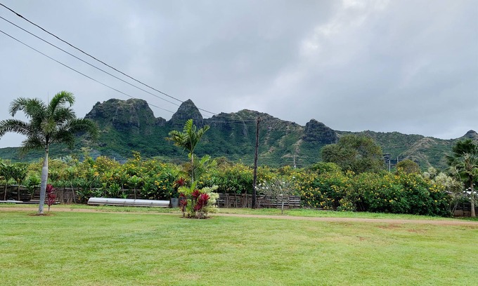 Anahola House | Serene Oceanfront Retreat with Family-Friendly Amenities