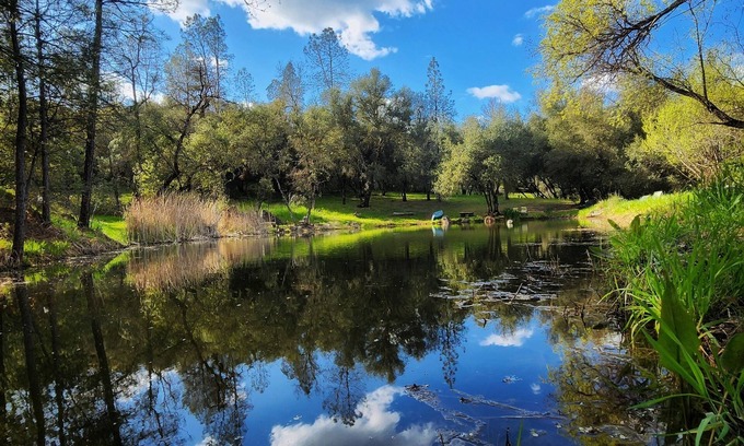 Cedar Ridge House | Tranquil Pond Retreat - Waterfront Glamping with Family Perks