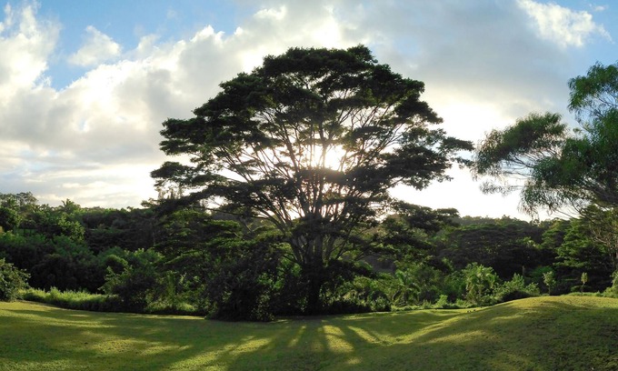 Pauwela Apartment | Tranquil Studio on Organic Fruit Farm - 10 Min to Beach