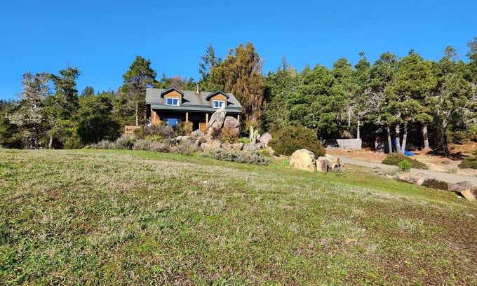 Gualala House | Tranquil Redwood Hollow: Pet-Friendly with Relaxing Amenities