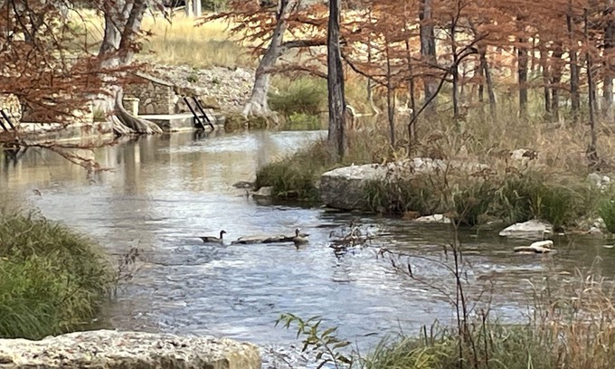 Ingram Cabin | Serene River Retreat: Paradise River Bend Awaits You